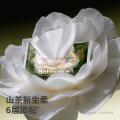 bc babycare 山茶保湿纸巾新生婴幼儿童专用云柔巾宝宝乳霜纸20抽 图片 2