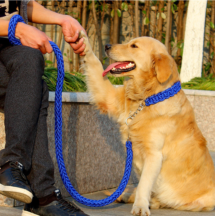 狗狗牵引绳狗绳子遛狗链子带项圈p链中型大型犬金毛拉布拉多狗带