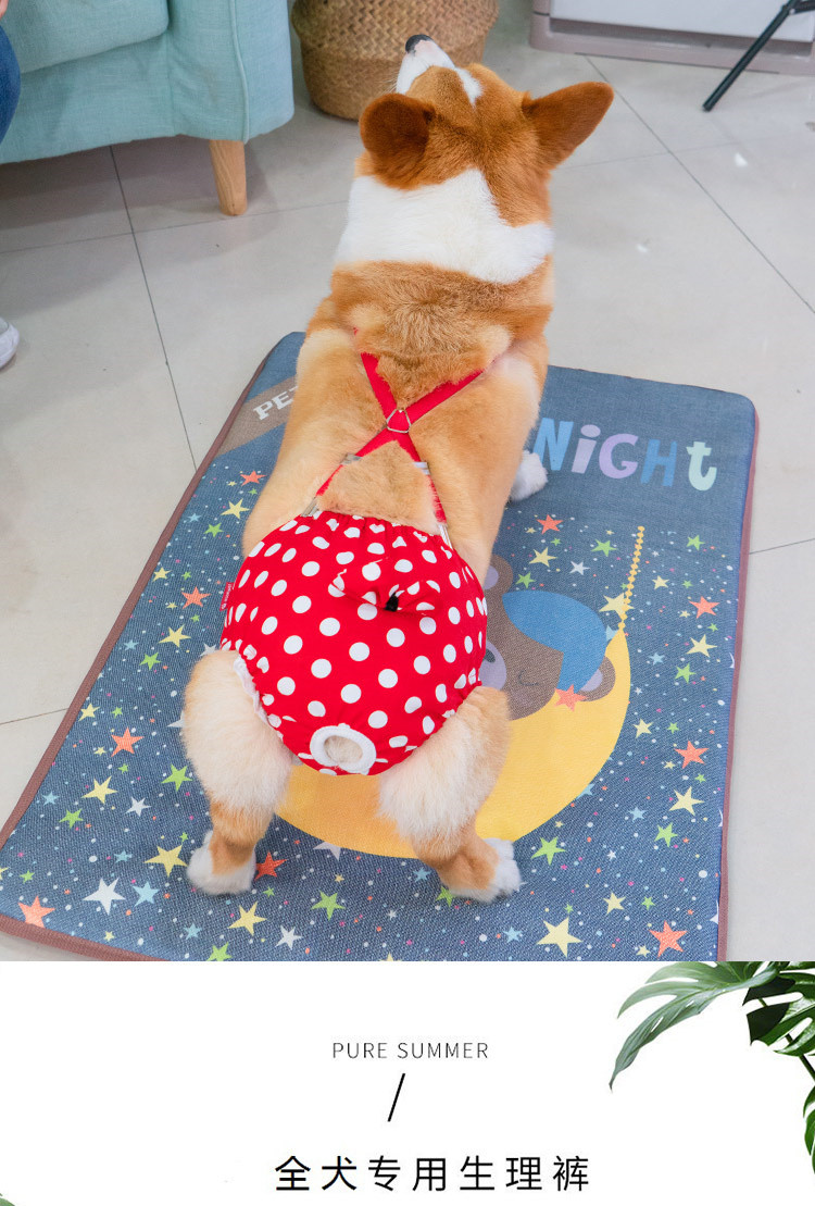 母狗狗生理裤女狗卫生裤绝育神器姨妈裤柯基法斗安全月经裤防交配