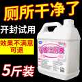 瓷露 洁厕灵液马桶厕所清洁剂除臭去异味留香除垢去渍神器强力去污去黄