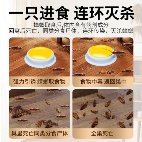 狄力 蟑螂药家用一窝正品饭店全窝餐厅端专用神器强效灭除杀蟑胶饵剂 图片 4