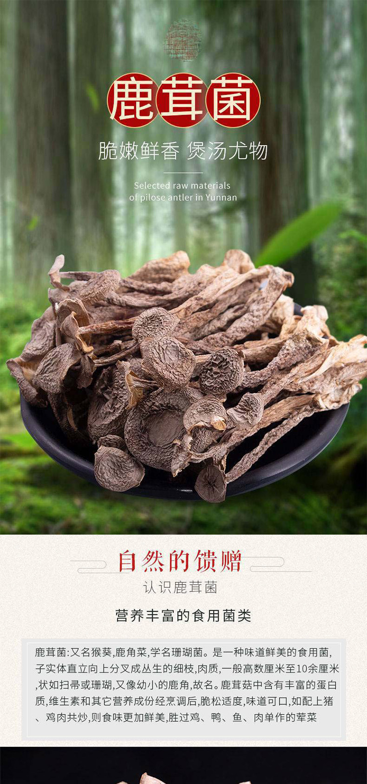 2件起】一级鹿茸菇干货鹿茸菌家庭煲汤250克