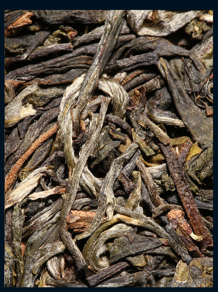 古200景迈山7饼整提收藏2499g 1片云南古树茶普洱茶生茶饼茶叶