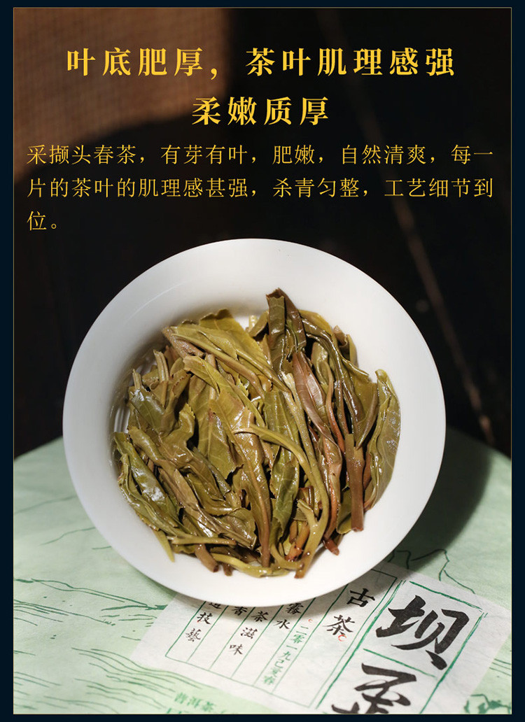 冰岛坝歪春茶古茶整提整箱购收藏 云南古树普洱茶生茶饼茶叶357g