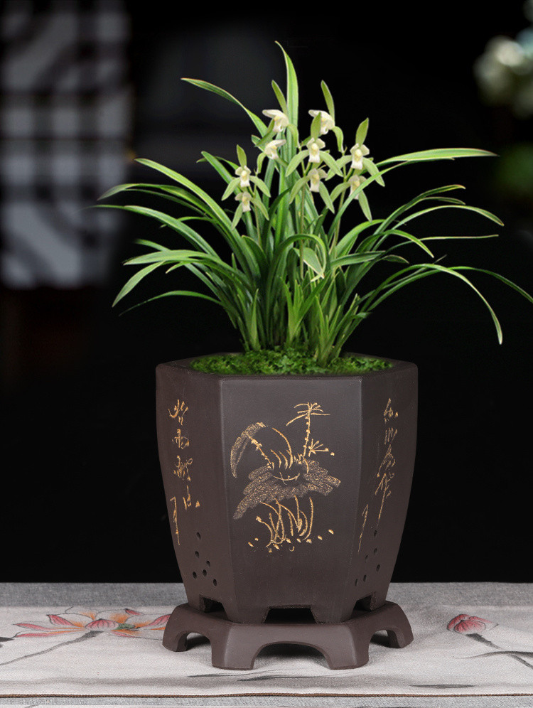 宜兴紫砂兰花专用盆六方大号陶瓷家用阳台带托盘盆景花盆