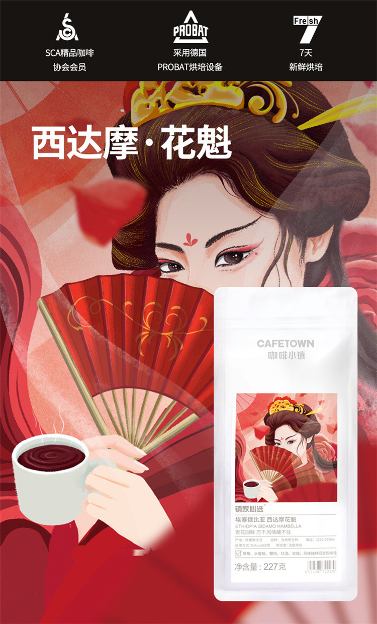 咖啡小镇 埃塞俄比亚西达摩花魁瑰宝瑰夏日晒处理 咖啡豆组合454g