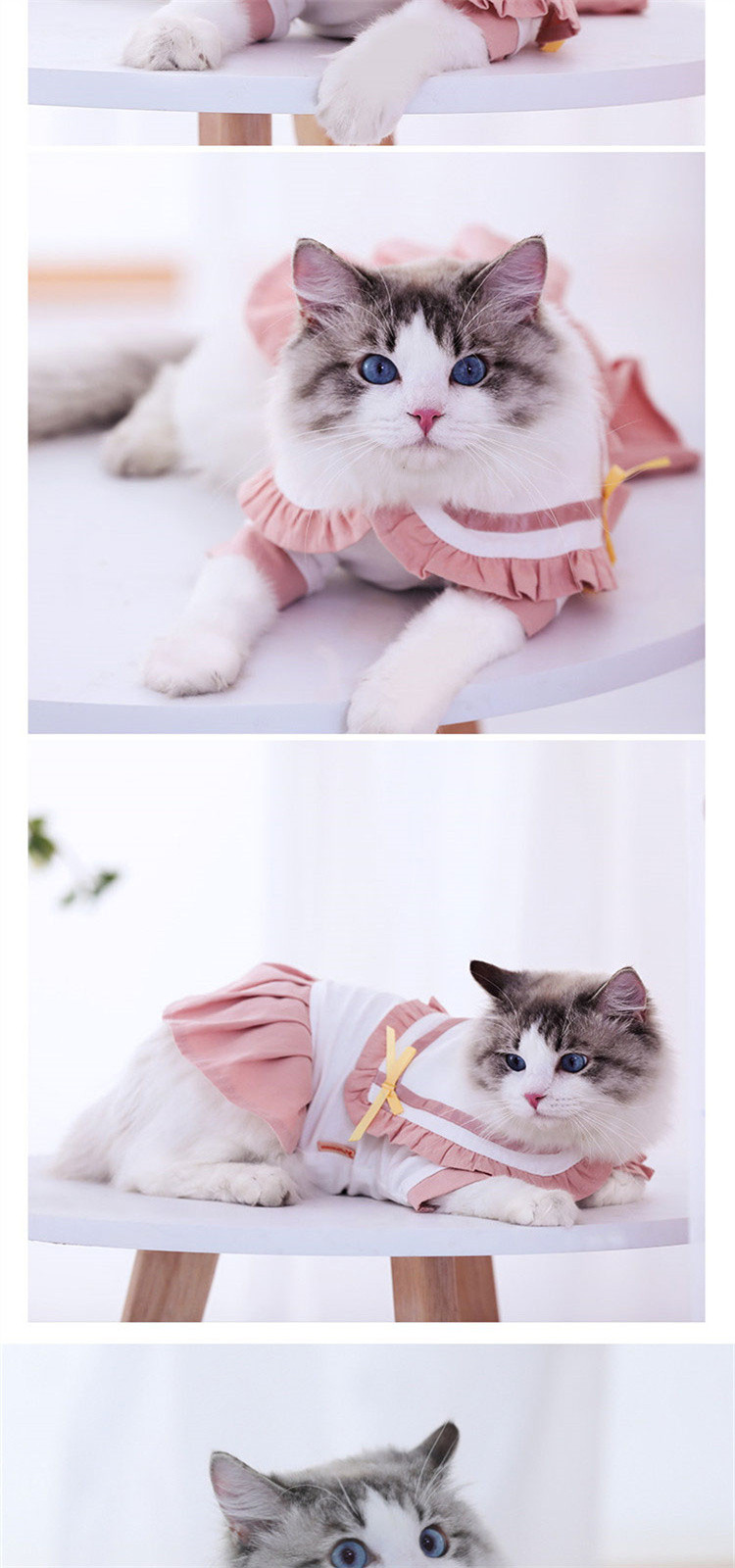 猫衣服jk夏季薄款猫咪衣服布偶猫可爱裙子小奶猫连衣裙宠物百褶裙