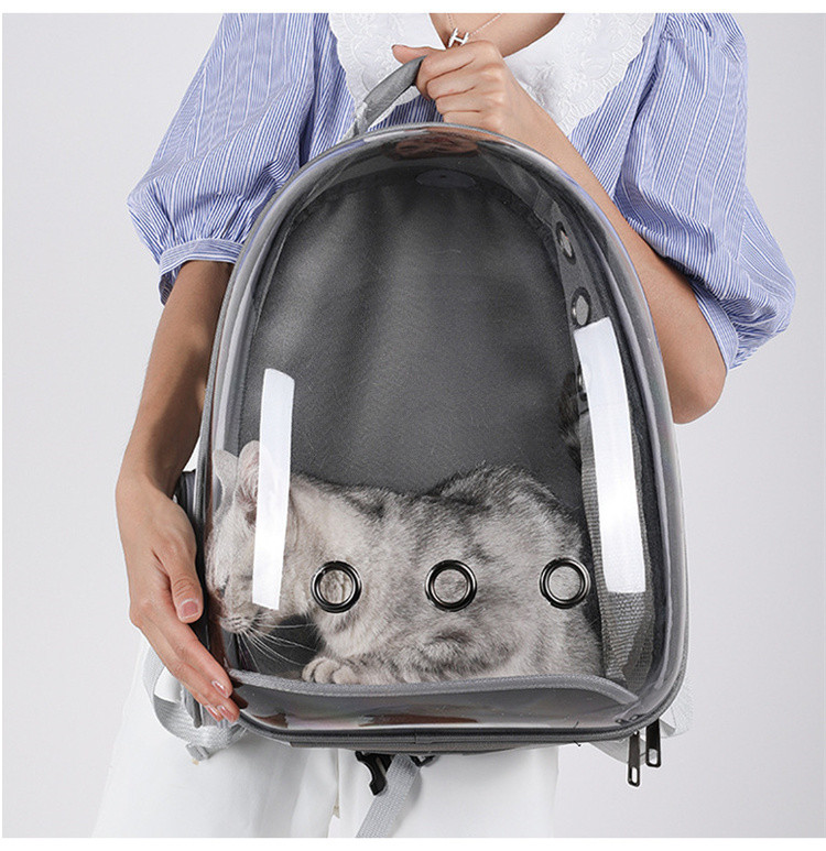 摩宠猫包宠物背包外出便携透明太空舱宠物包小型犬猫咪透气双肩包