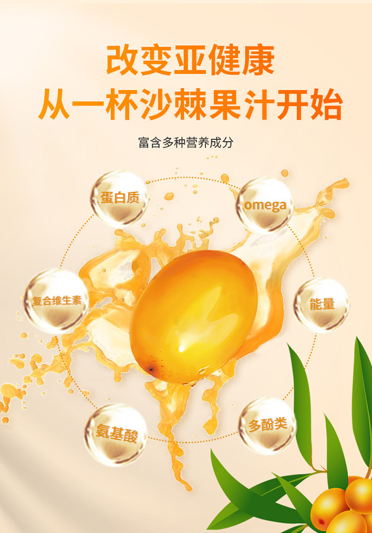 宁化府两整箱16瓶沙棘原浆饮料沙棘汁生榨沙棘汁饮品鲜果蔬茶原浆