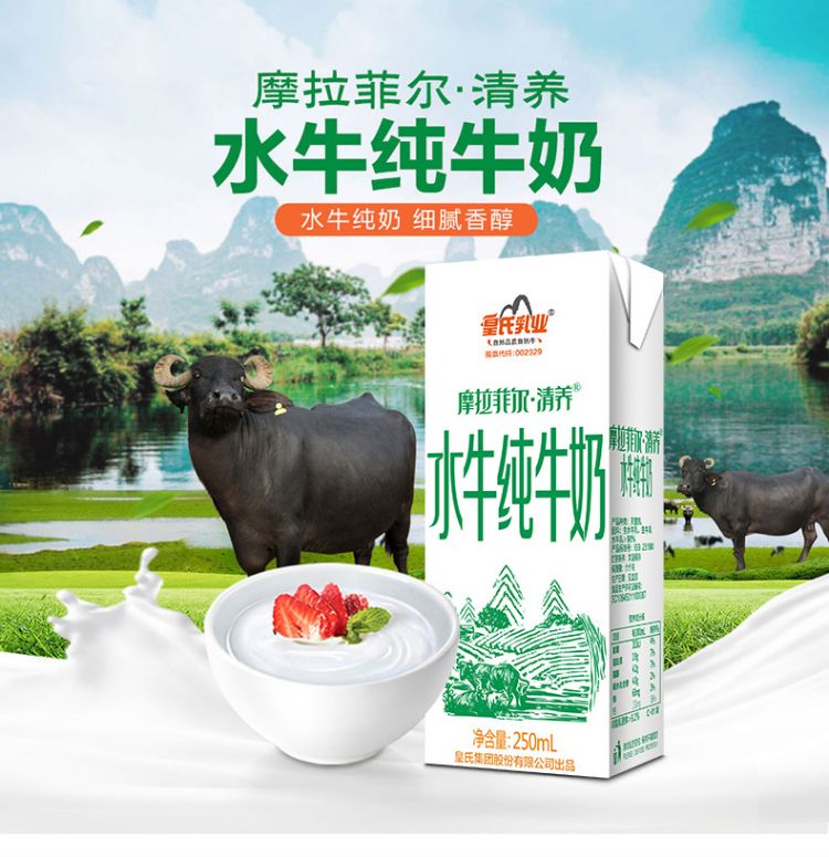 摩拉菲尔水牛奶清养水牛纯牛奶 250ml*12只礼盒儿童牛奶
