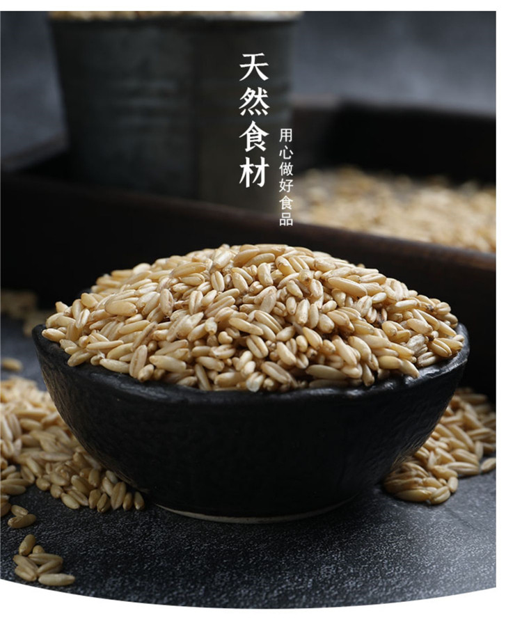 燕麦米全胚芽米粗粮纯麦米生大麦燕麦粒麦子500g