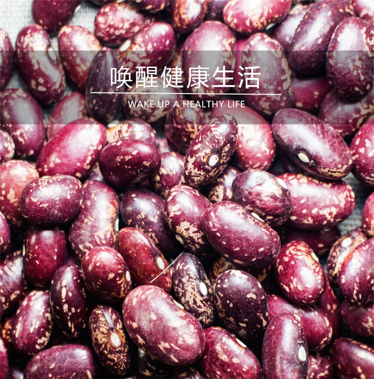 五谷杂粮金丝豆健康营养丰富生熟两种香糯可口500g装