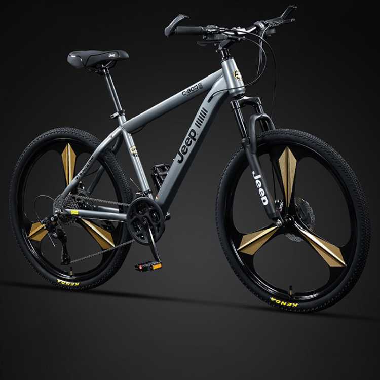 ����Jeepɽ�س����г�ѧ�����˼���ͨ�ڱ���ԽҰ������Ѳ����C800