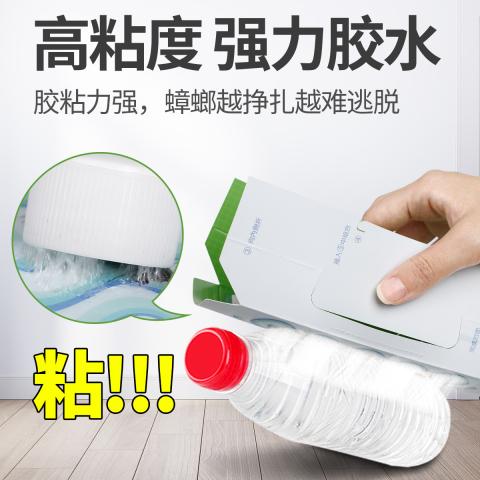 郁康 蟑螂屋灭蟑螂药家用灭强力粘绝杀纸胶饵贴捕捉板神器 图片 3