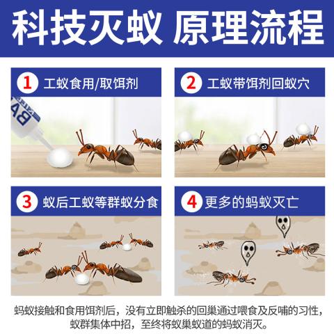 郁康 灭蚂蚁药家用室内灭蚁清去除杀小蚂蚁黄无红蚂蚁全窝端神器毒饵剂 图片 4