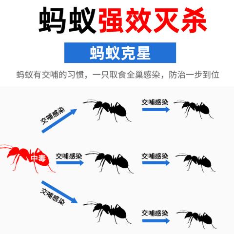 郁康 蚂蚁药室内外全窝家用非无毒正品除灭蚁专用粉末饵剂杀虫剂 图片 4