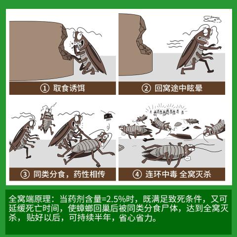 郁康 蟑螂药强力家用杀蟑胶饵厨房杀蟑药除蟑微毒大小蟑螂药连环死亡 图片 5