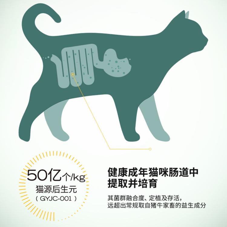 商品缩略图 9