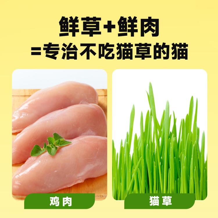 商品缩略图 6