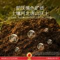 春江月 红瑶红薯干地瓜干无添加糖农家自制烤番薯干低脂零食小吃健康早餐 图片 5