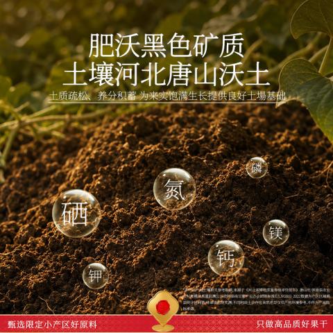 春江月 红瑶红薯干地瓜干无添加糖农家自制烤番薯干低脂零食小吃健康早餐 图片 5