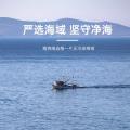鲜珥家 烘干压缩海带丝16g/包*10袋海产干货海洋蔬菜海裙菜凉拌下饭煲汤 图片 8