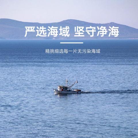 鲜珥家 烘干压缩海带丝16g/包*10袋海产干货海洋蔬菜海裙菜凉拌下饭煲汤 图片 8