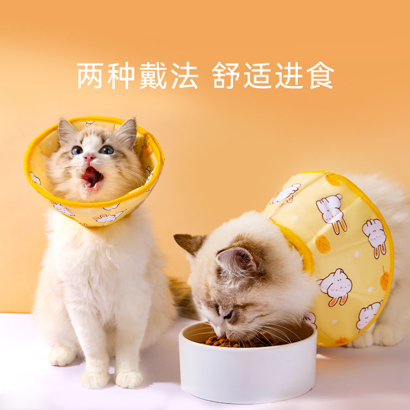 宠物狗狗用品