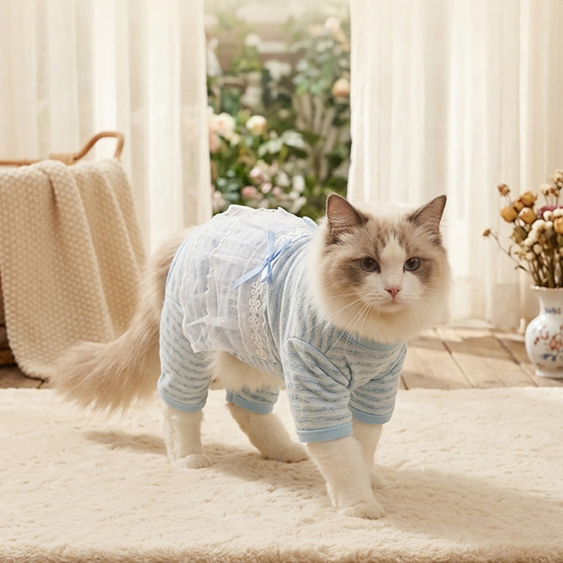 神经猫 宠物猫咪四脚包肚衣阳离子花边款防着凉术后服布偶猫蓝猫居家睡衣