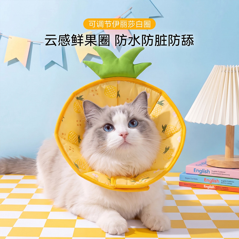 神经猫 猫咪专用防舔圈宠物伊丽莎白帽夏日可爱鲜果造型护颈套手术羞耻圈