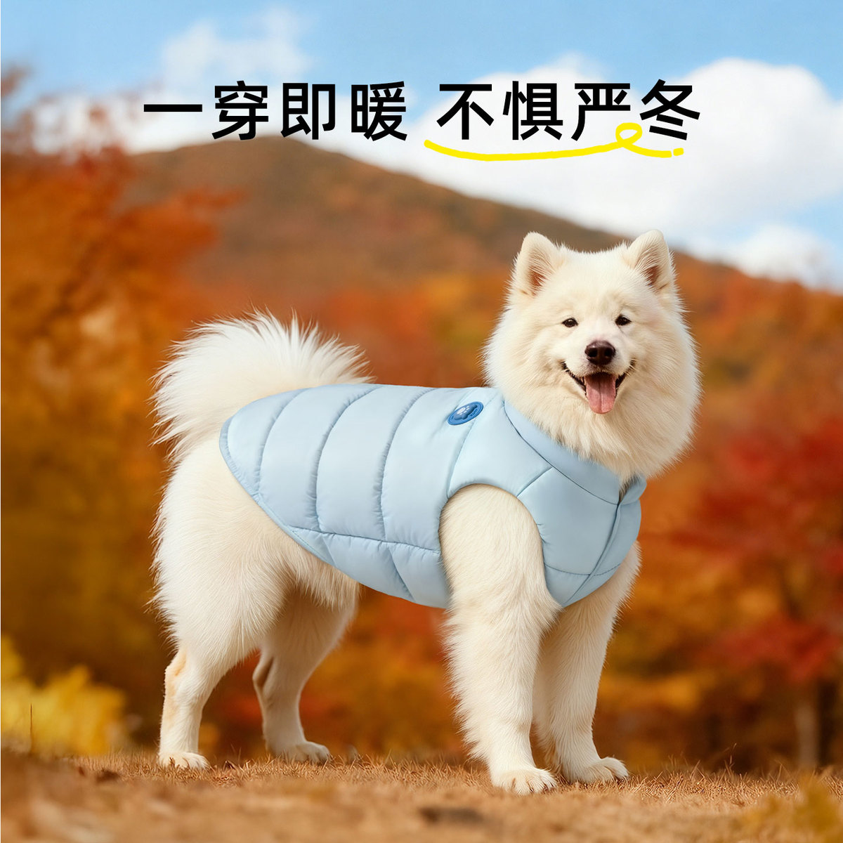 商品缩略图 1