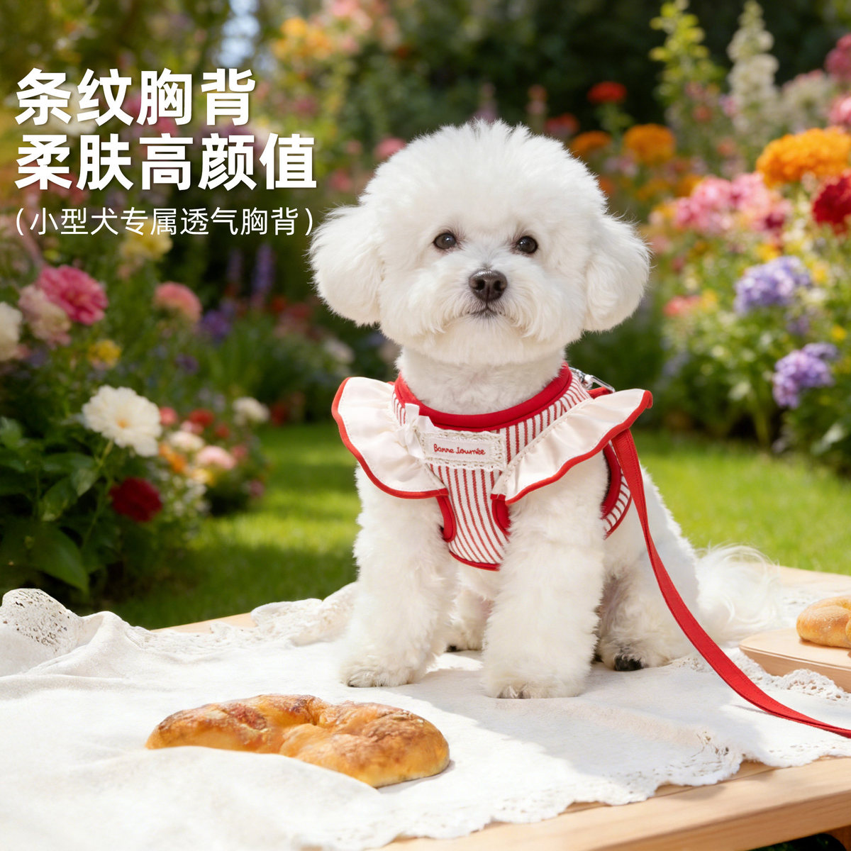 MIKI PET 小狗狗牵引绳背心式小型犬遛狗绳狗链子幼犬胸背宠物狗背带牵狗绳