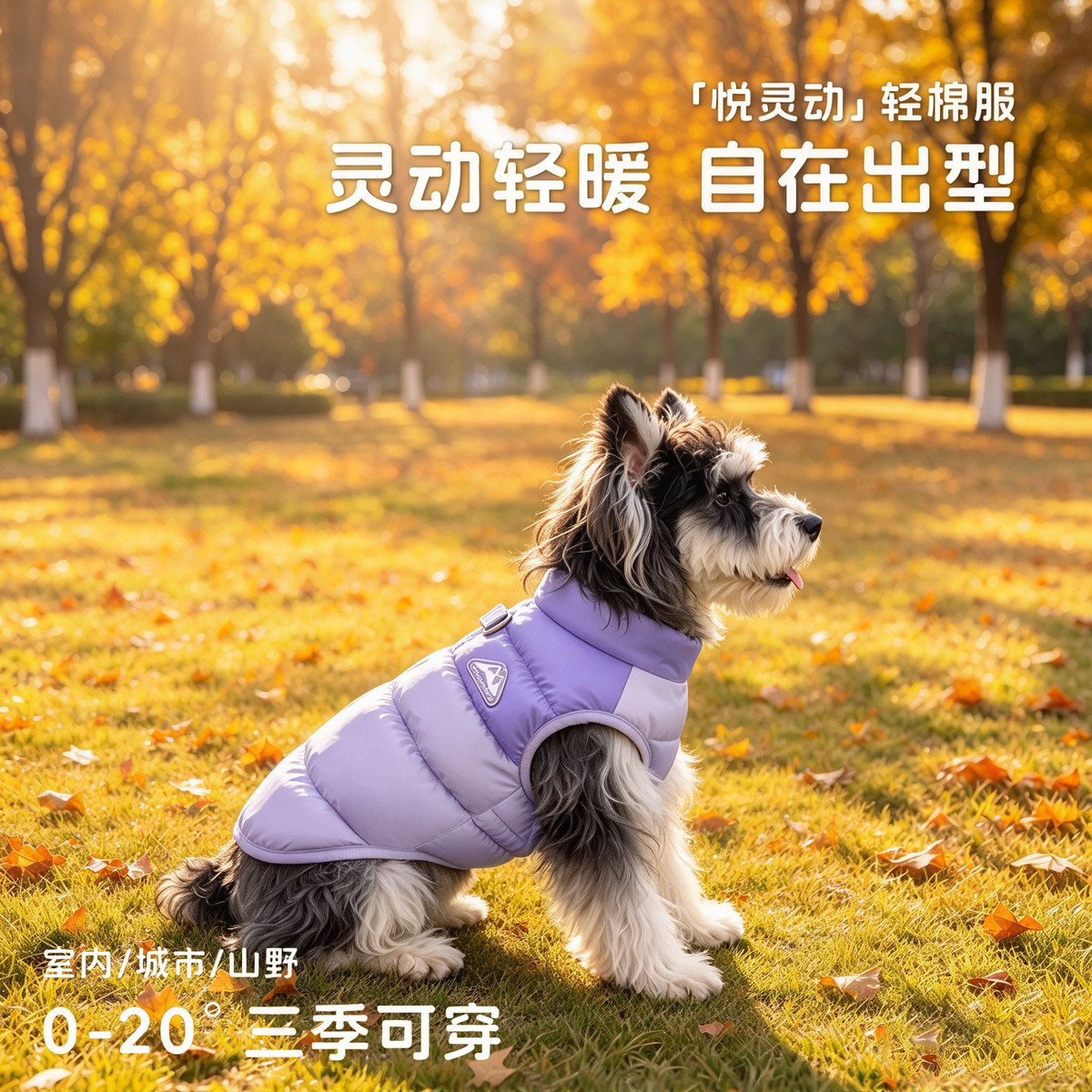 MIKI PET 小狗狗衣服秋冬季比熊泰迪雪纳瑞宠物冬季棉服小型犬加厚保暖冬装