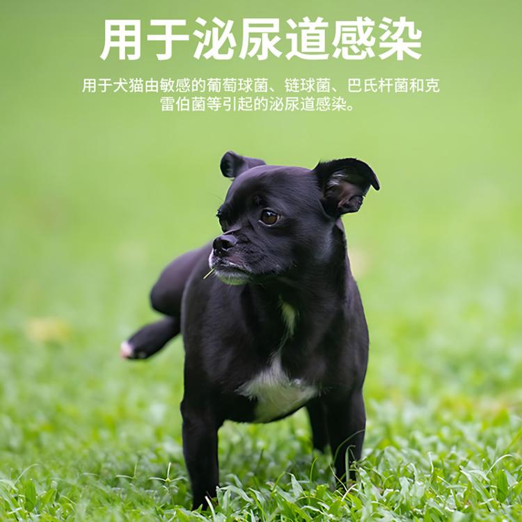 商品缩略图 6