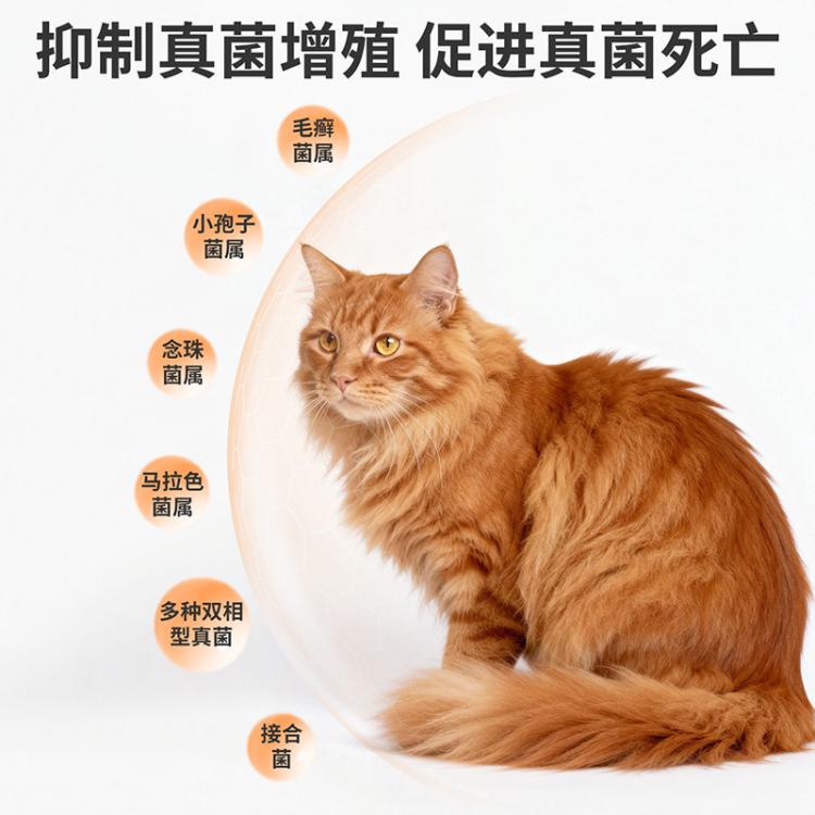 商品缩略图 4