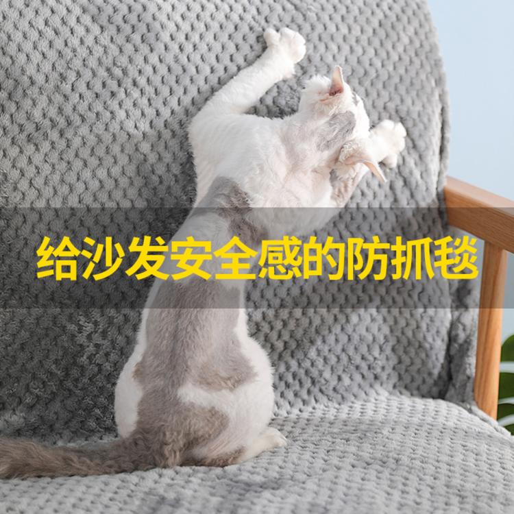 商品缩略图 2