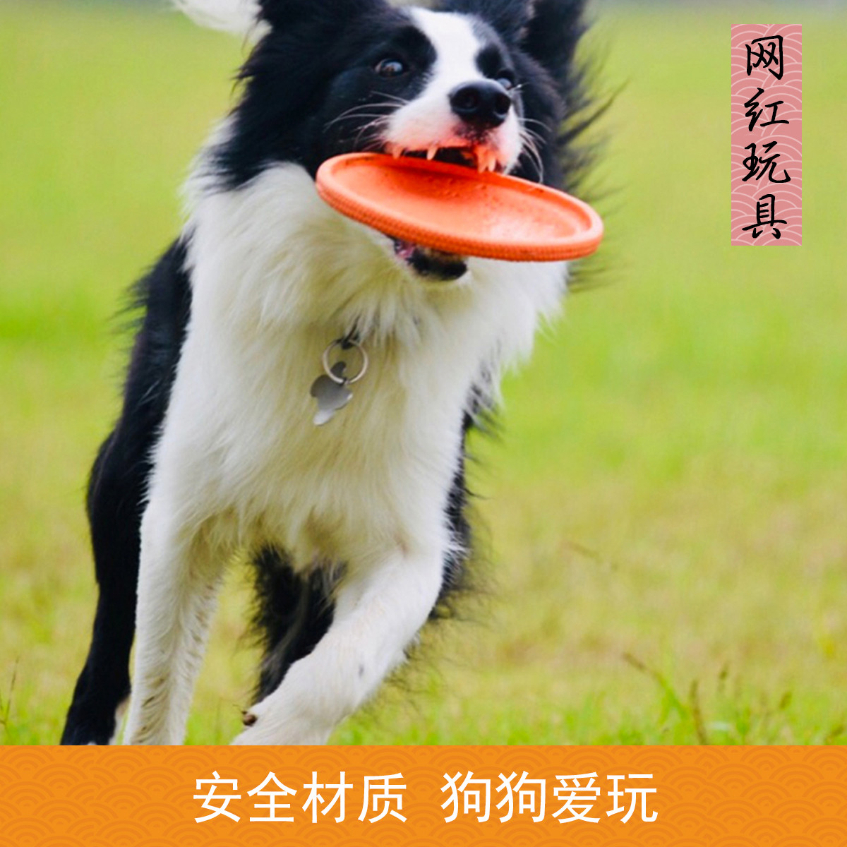 KimPets 【很耐咬&可浮水】狗狗玩具耐咬边牧金毛户外宠物飞盘飞碟玩具