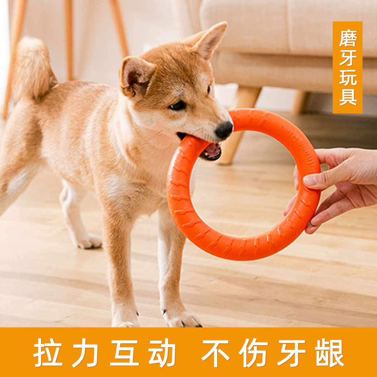 狗狗耐咬玩具
