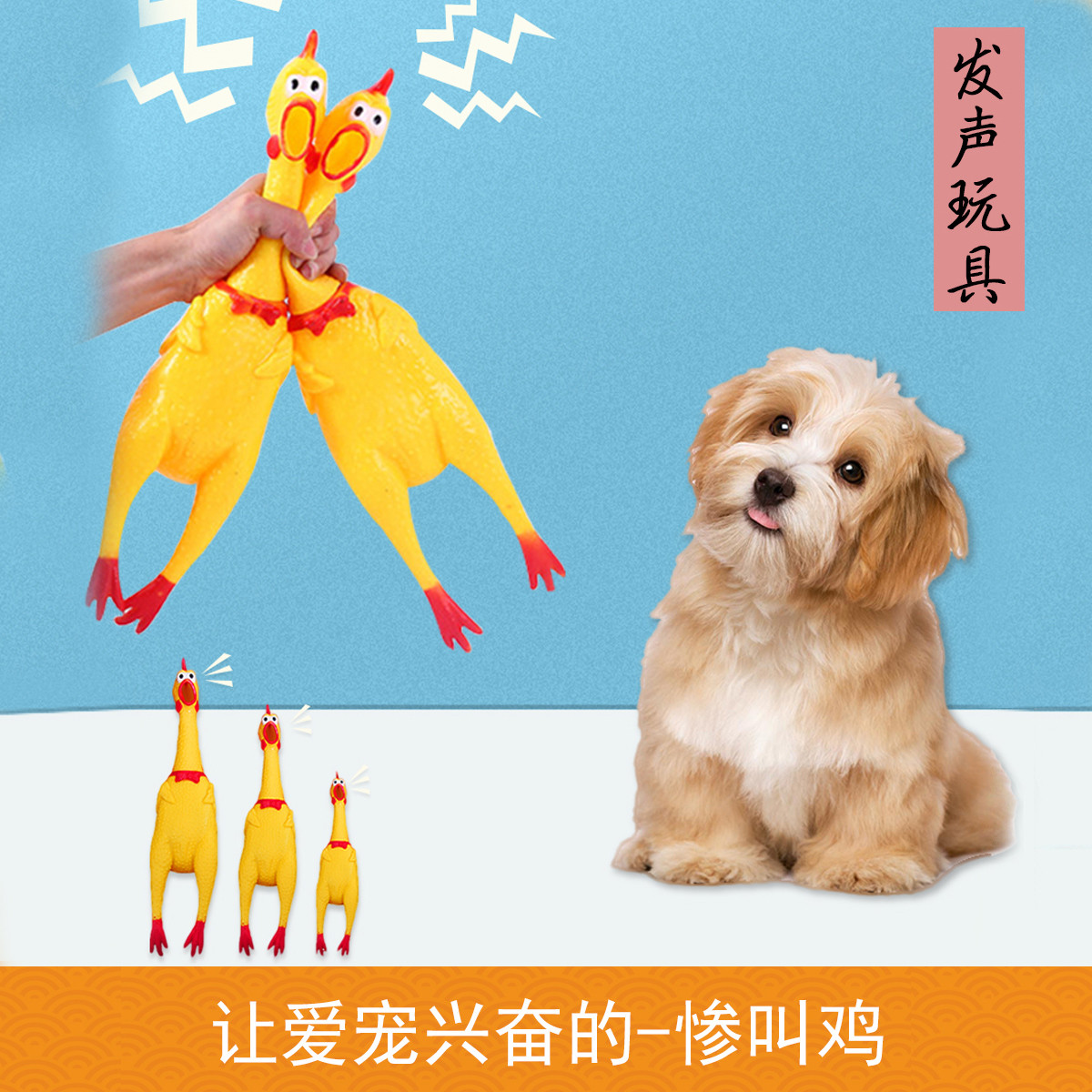 KimPets 宠物狗玩具   发声惨叫鸡尖叫鸡耐咬解压鸡狗狗玩具用品