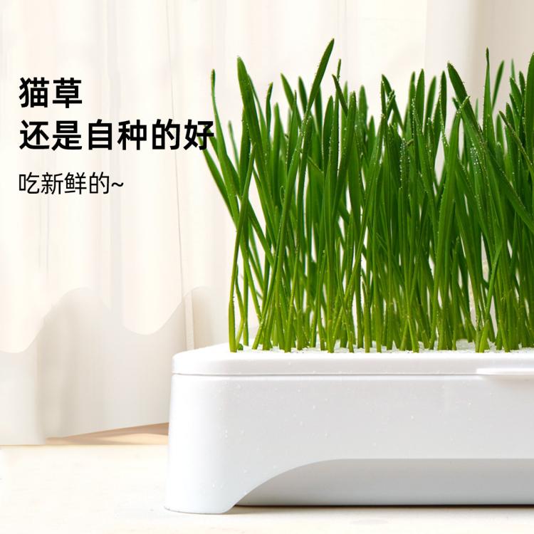 商品缩略图 6