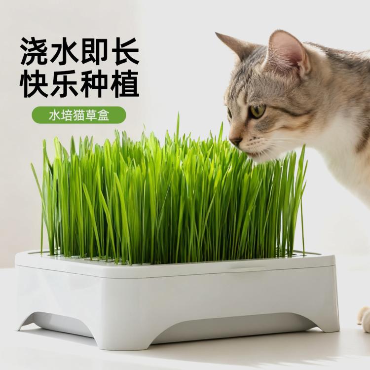 商品缩略图 2