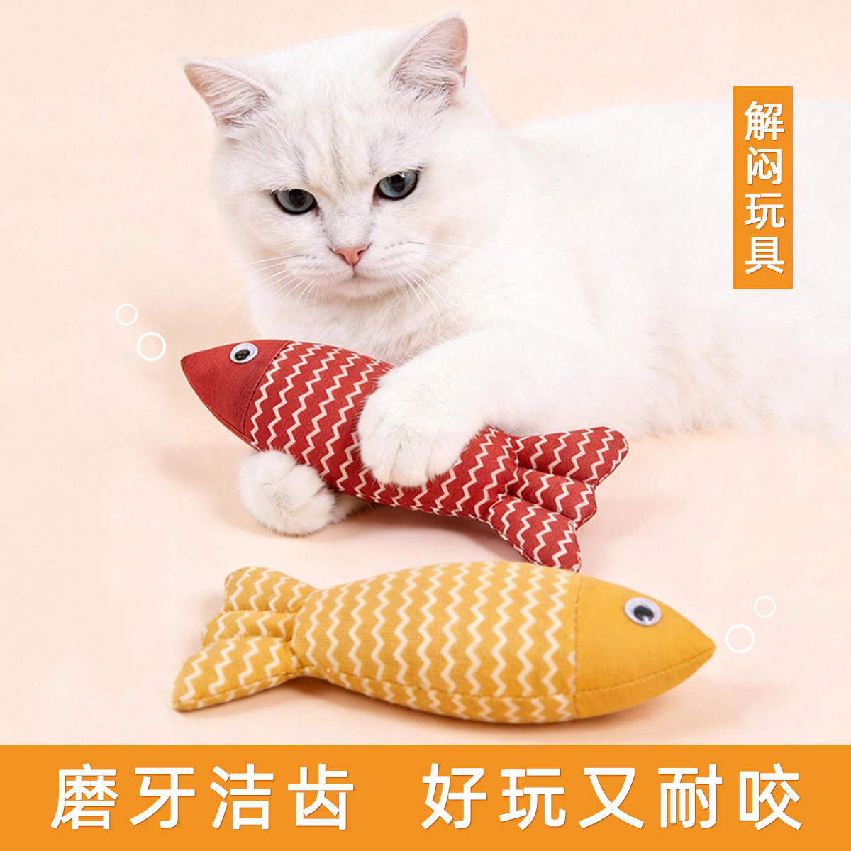 幼猫宠物猫用品