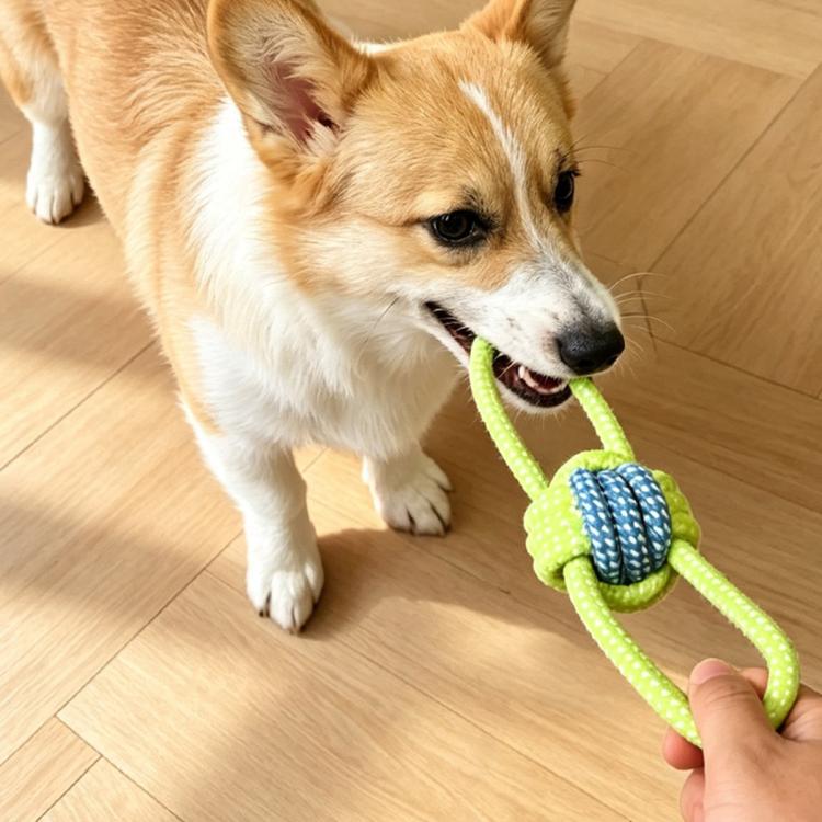 商品缩略图 6