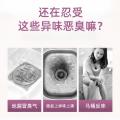 PISSA 【两瓶装】下水道除臭剂养护管道除异味卫生间地漏防飞虫除味留香 图片 4
