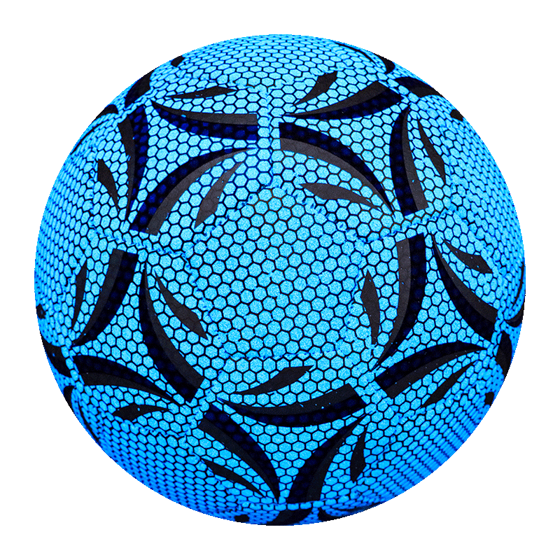 ҹⷢͯСѧר4ų5ű׼ӫѵ