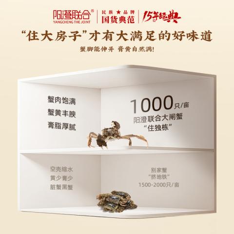 阳澄联合 【大闸蟹礼券】1688型公蟹3.0两母蟹2.0两 8只螃蟹卡中秋送礼礼盒 图片 5