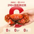 苏状元 大闸蟹礼券3899型公蟹3.5两母蟹2.5两 6只螃蟹卡中秋送礼礼盒 图片 4