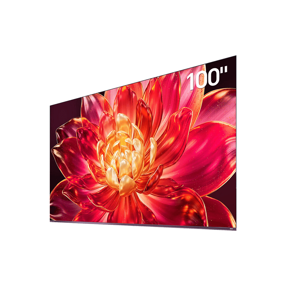   E5Q Pro MiniLED 100 13699Ԫȯ