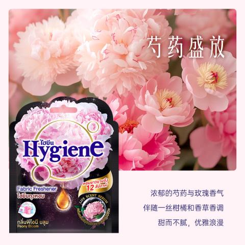 喜净 【6种香型】hygiene泰国进口持久释香香氛包空气清新剂衣柜卫生间 图片 4
