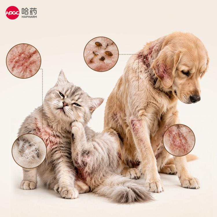 商品缩略图 6